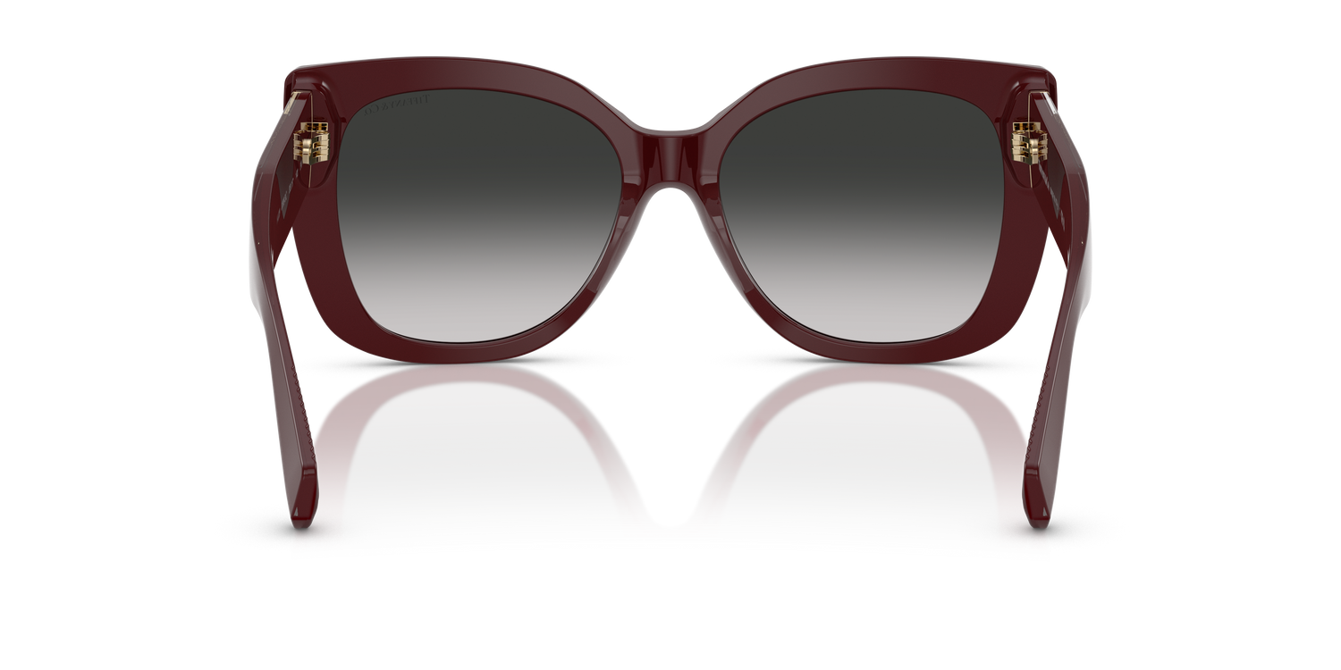 TIFFANY TF4229 83893C 55