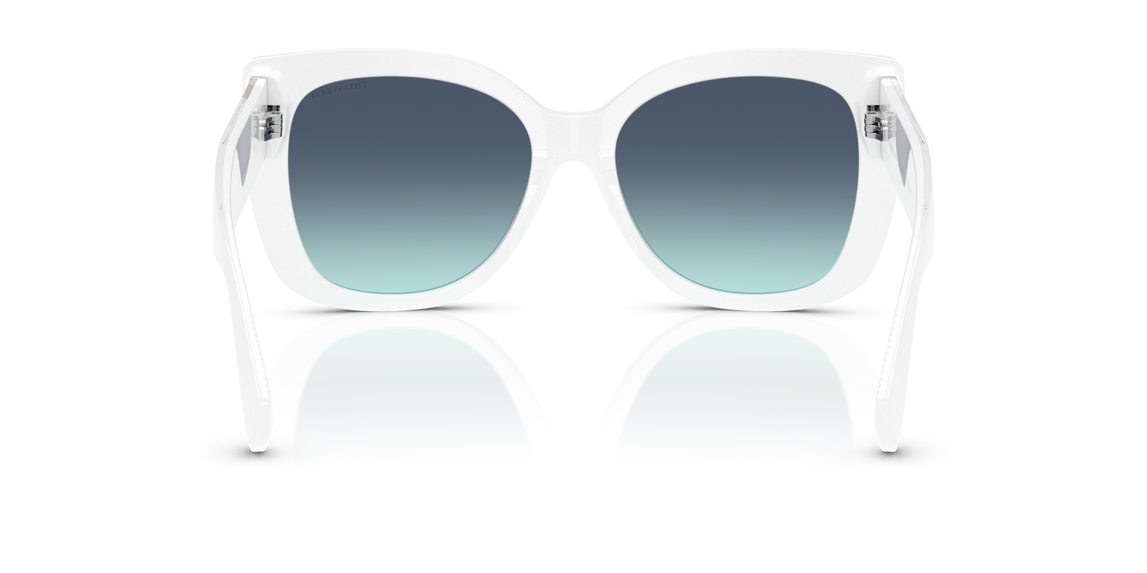 TIFFANY TF4229 83929S 55