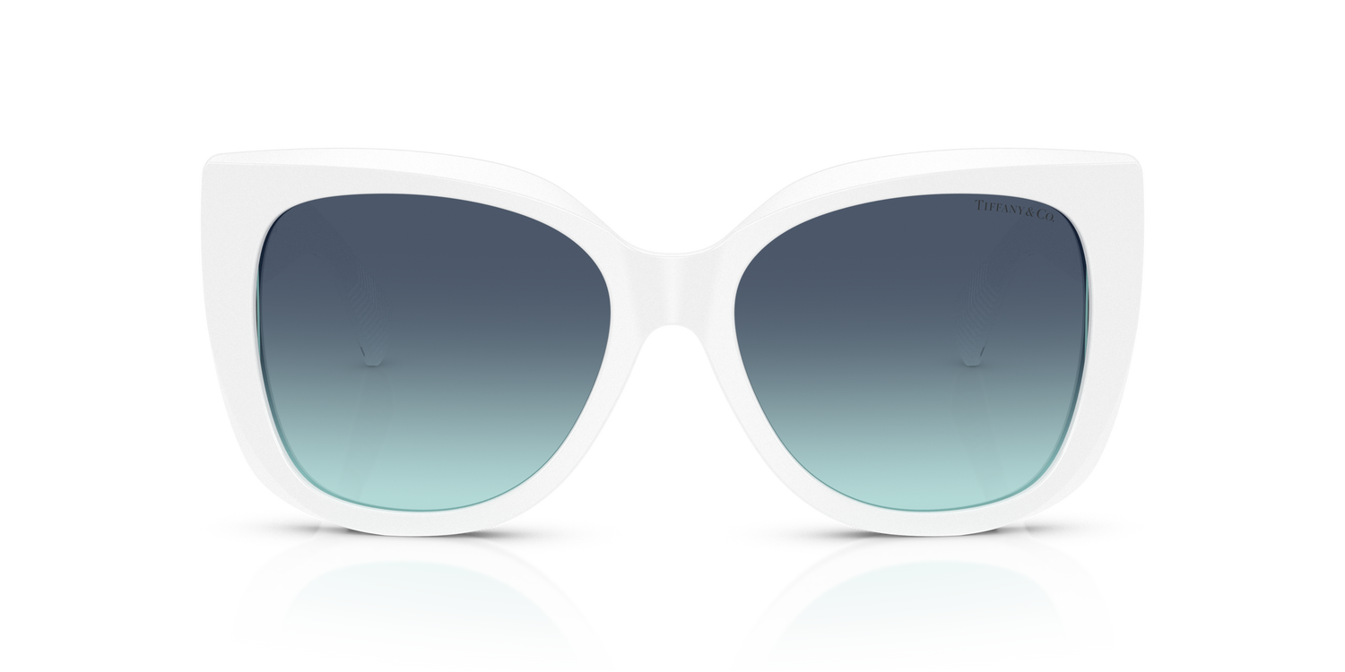 TIFFANY TF4229 83929S 55