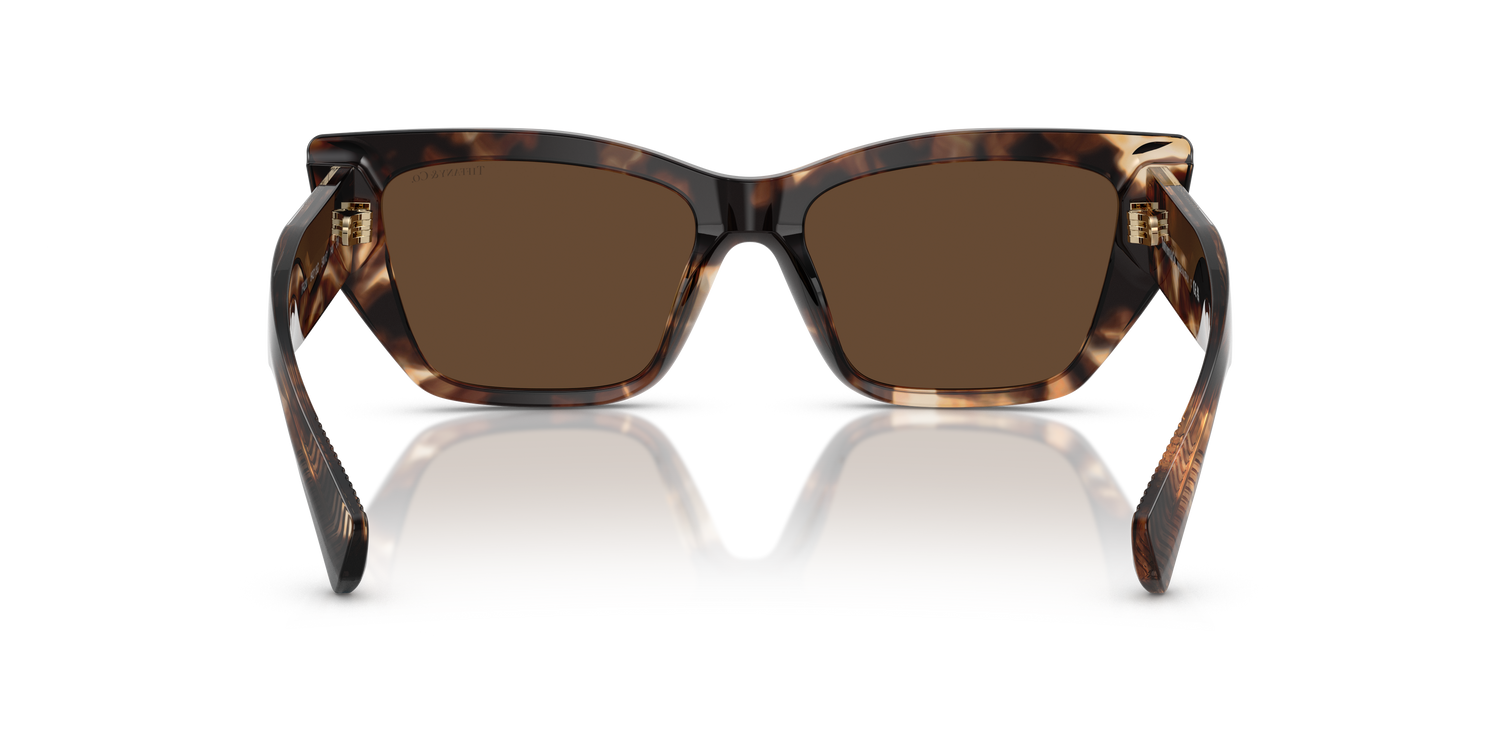 TIFFANY TF4230 84213G 54