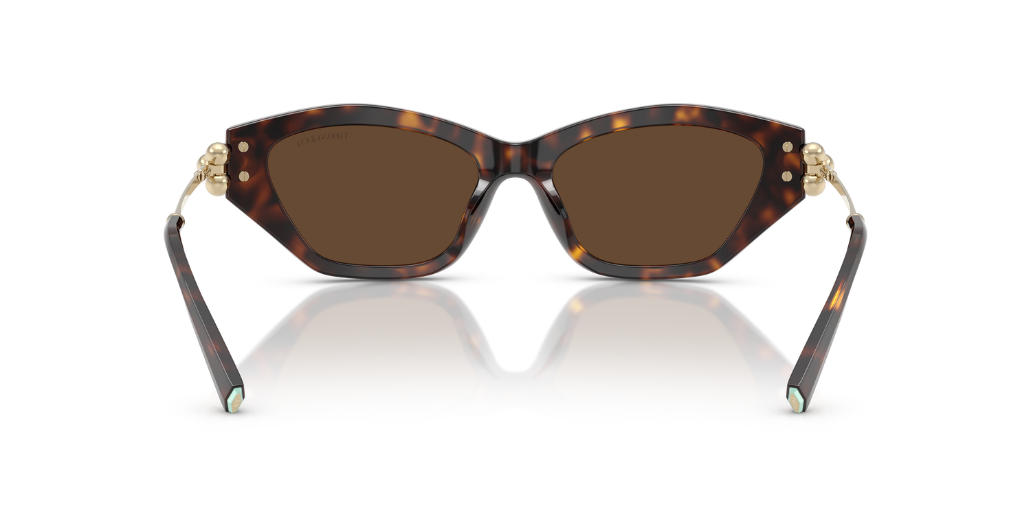 TIFFANY TF4231U 80153G 53