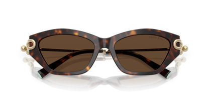 TIFFANY TF4231U 80153G 53