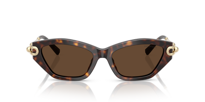 TIFFANY TF4231U 80153G 53