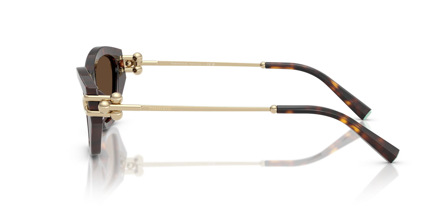 TIFFANY TF4231U 80153G 53