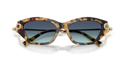 TIFFANY TF4231U 80649S 53