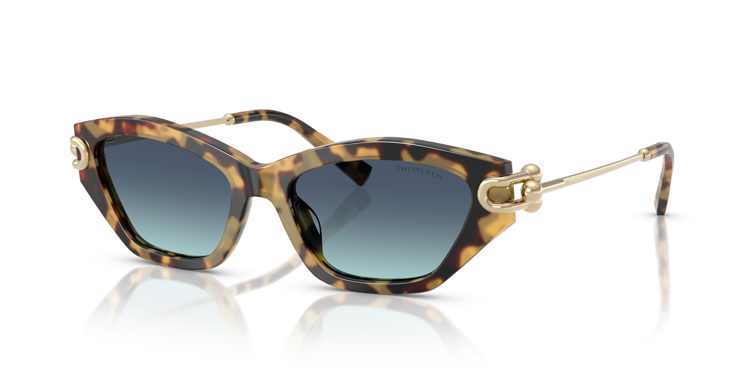 TIFFANY TF4231U 80649S 53