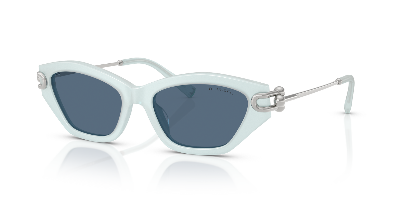 TIFFANY TF4231U 843680 53