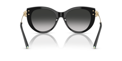 TIFFANY TF4232 80013C 53