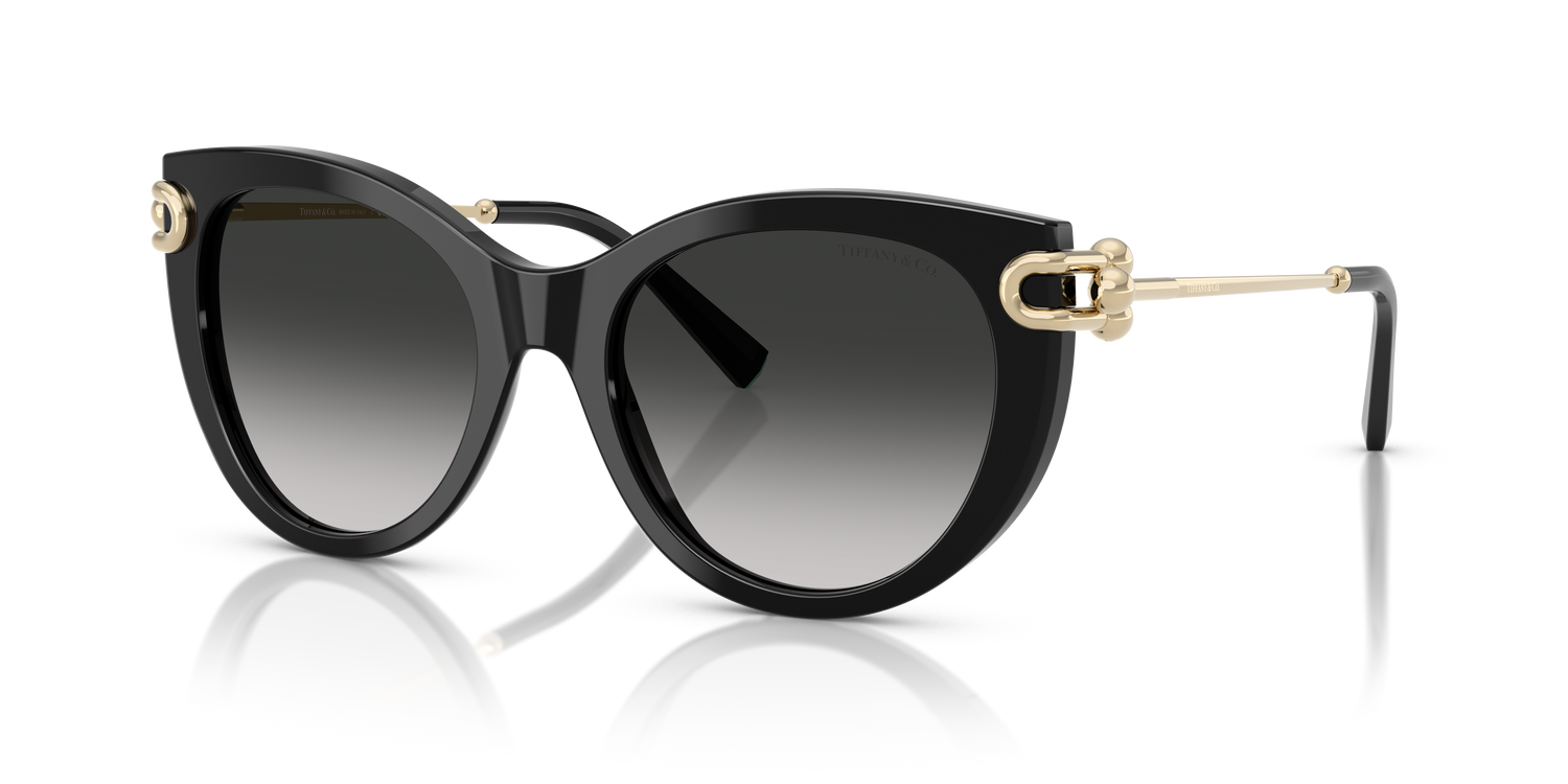 TIFFANY TF4232 80013C 53
