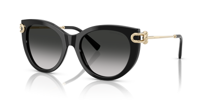 TIFFANY TF4232 80013C 53