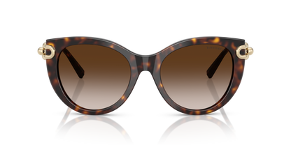 TIFFANY TF4232 80153B 53