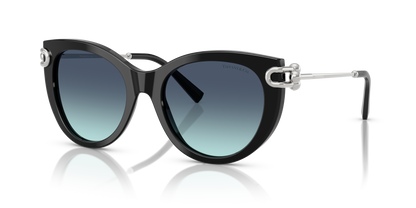 TIFFANY TF4232 83429S 53