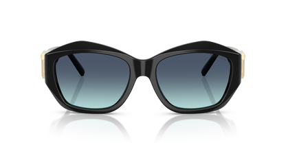 TIFFANY TF4233U 80019S 54