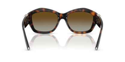 TIFFANY TF4233U 8015T5 54