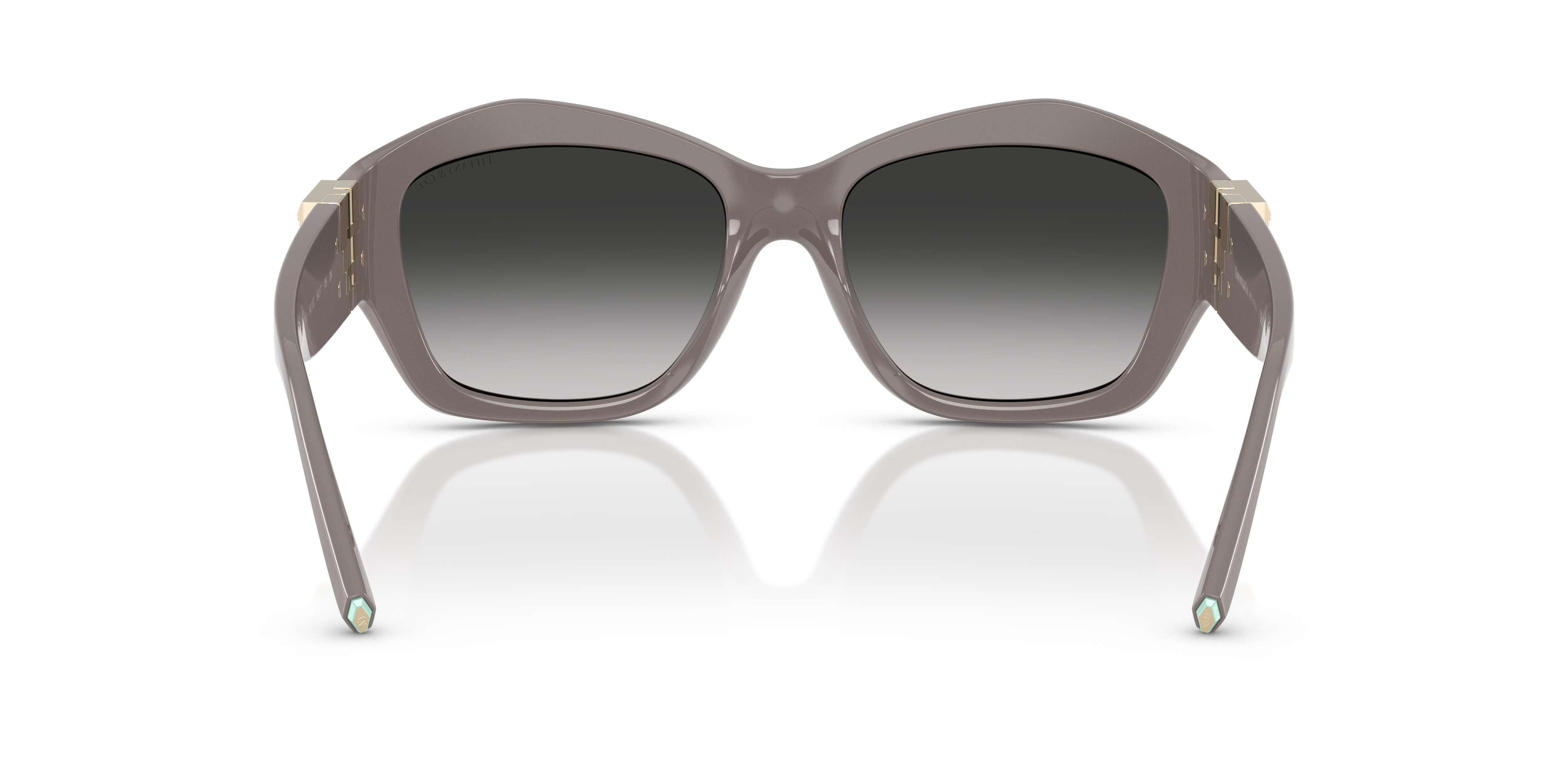 TIFFANY TF4233U 84013C 54