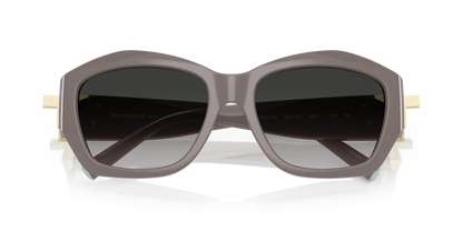 TIFFANY TF4233U 84013C 54