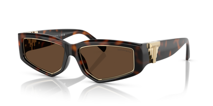 TIFFANY TF4234U 80153G 55