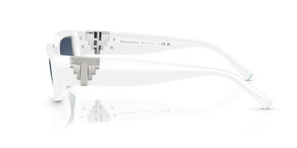 TIFFANY TF4234U 83929S 55