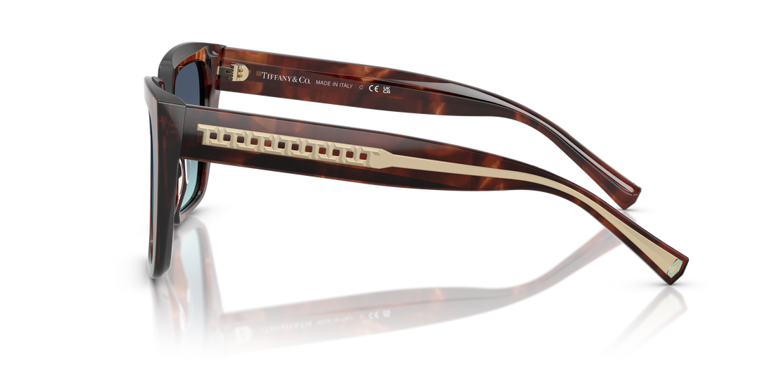 TIFFANY TF4235 84219S 55