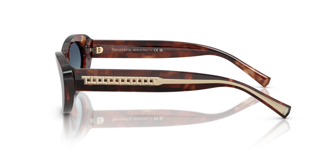 TIFFANY TF4236U 84219S 55