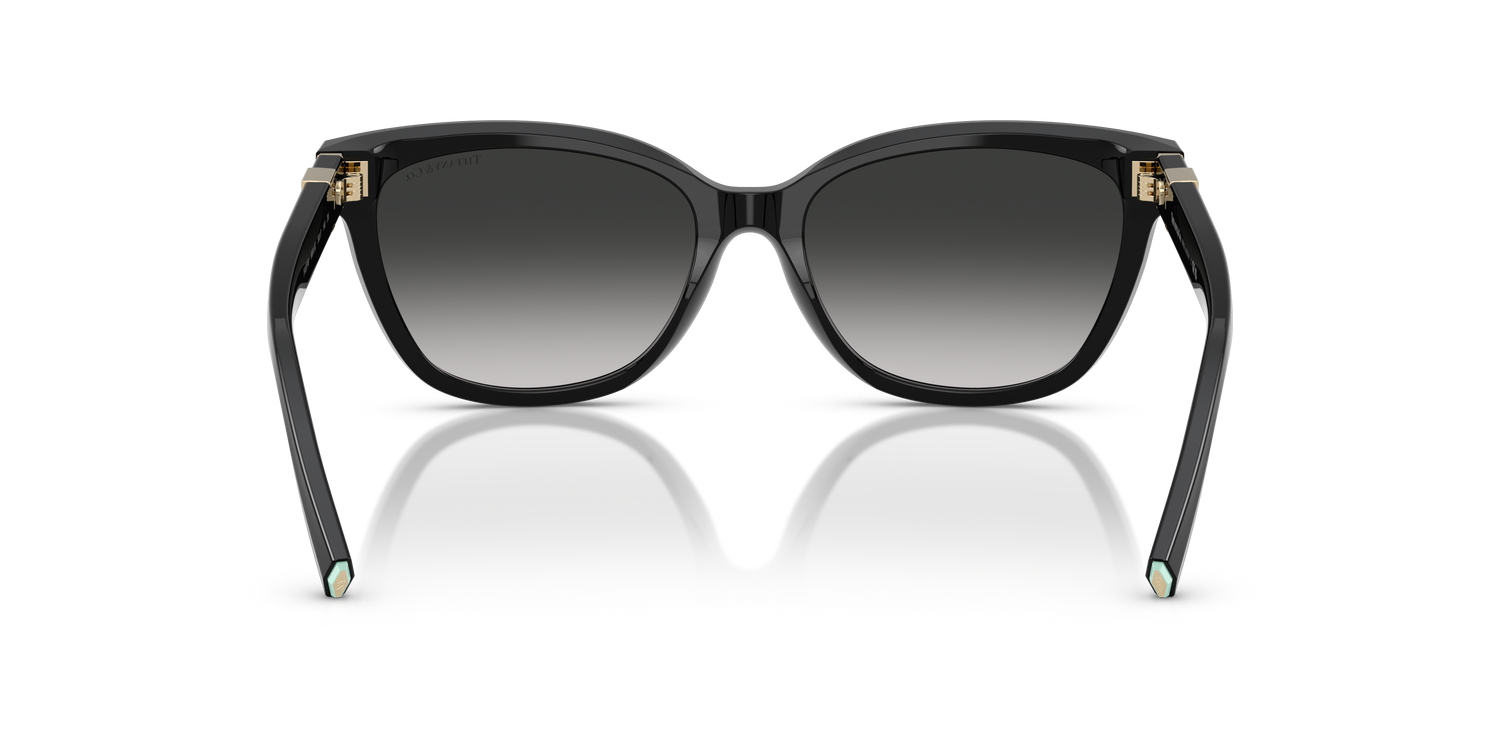 TIFFANY TF4237B 80013C 55