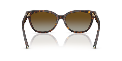 TIFFANY TF4237B 8015T5 55