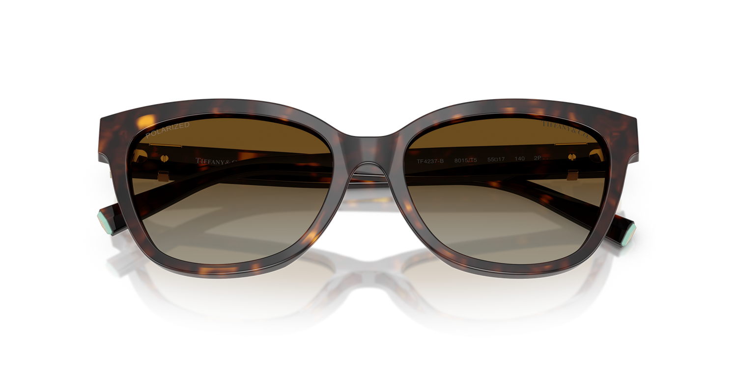 TIFFANY TF4237B 8015T5 55