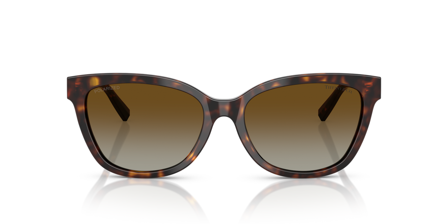 TIFFANY TF4237B 8015T5 55