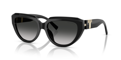 TIFFANY TF4238U 80013C 55