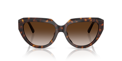 TIFFANY TF4238U 80153B 55