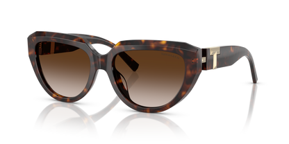 TIFFANY TF4238U 80153B 55