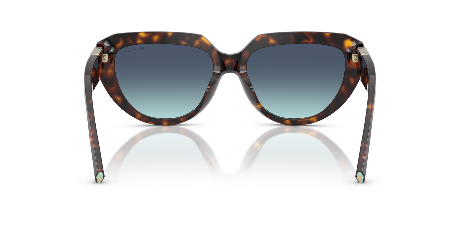 TIFFANY TF4238U 84649S 55