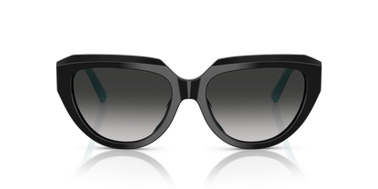 TIFFANY TF4238U 84653C 55