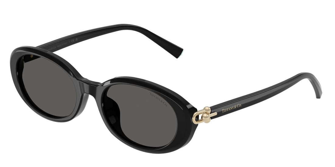 Lunettes de soleil tiffany tf4242d 8361s4 negro oval femenina taille 54mm - Vue principale