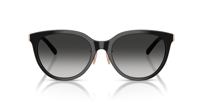 TIFFANY TF4243D 80013C 55