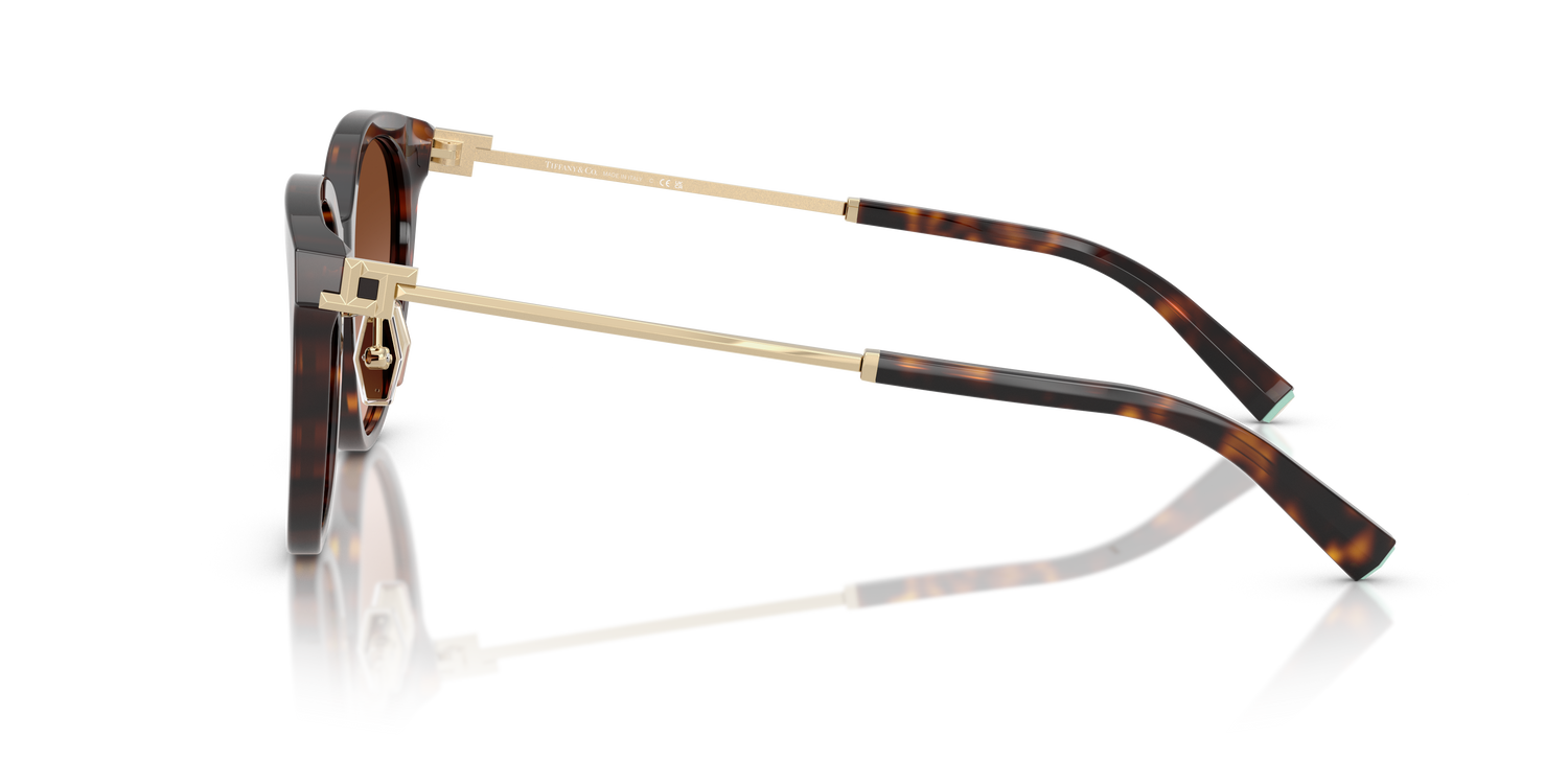 TIFFANY TF4243D 80153B 55