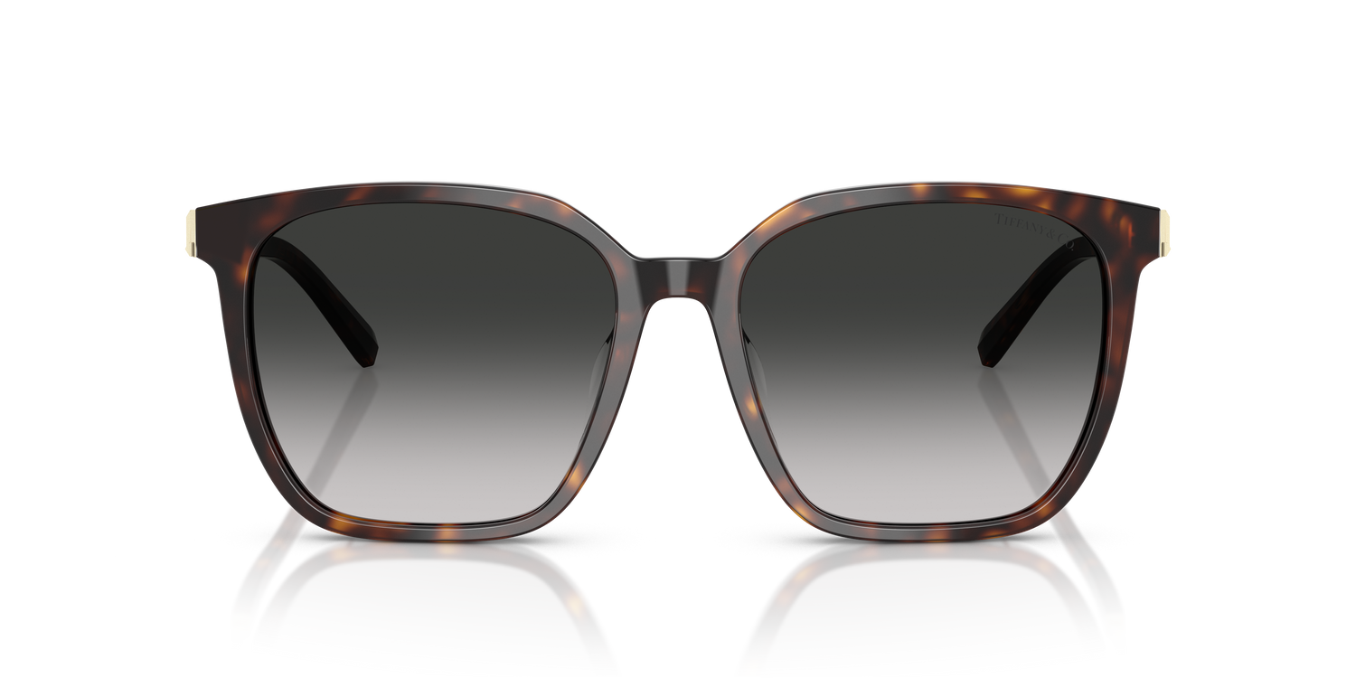 TIFFANY TF4244D 80153C 56