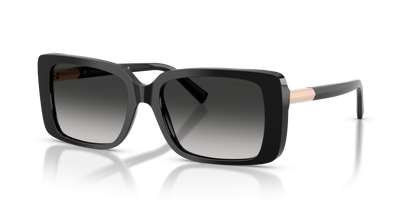 TIFFANY TF4249 80013C 55