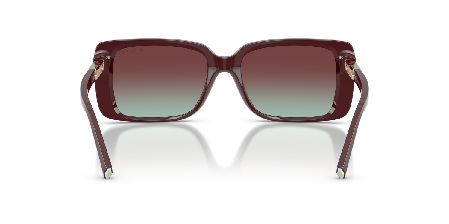 TIFFANY TF4249 8389V5 55