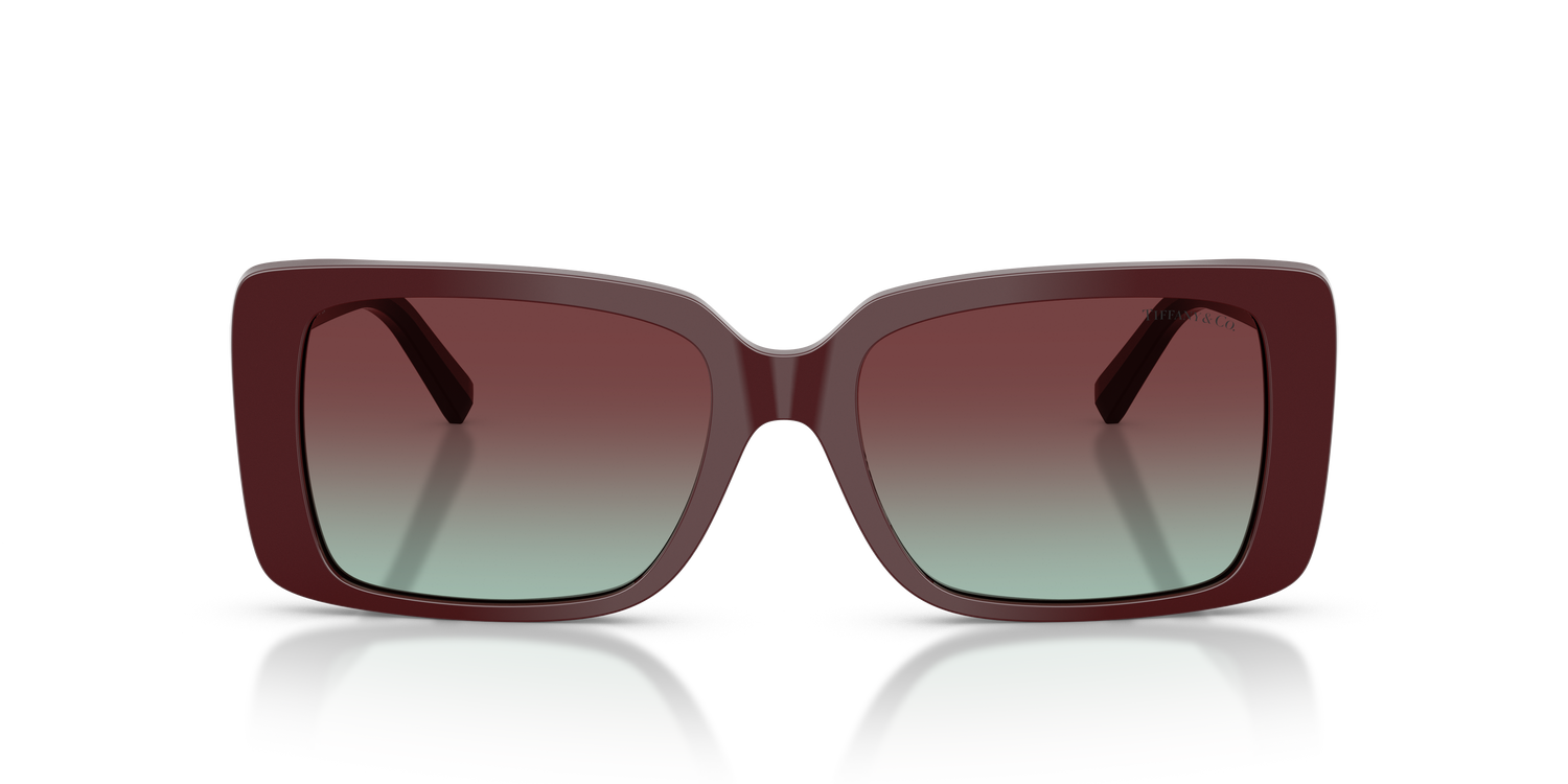 TIFFANY TF4249 8389V5 55