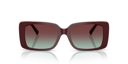 TIFFANY TF4249 8389V5 55