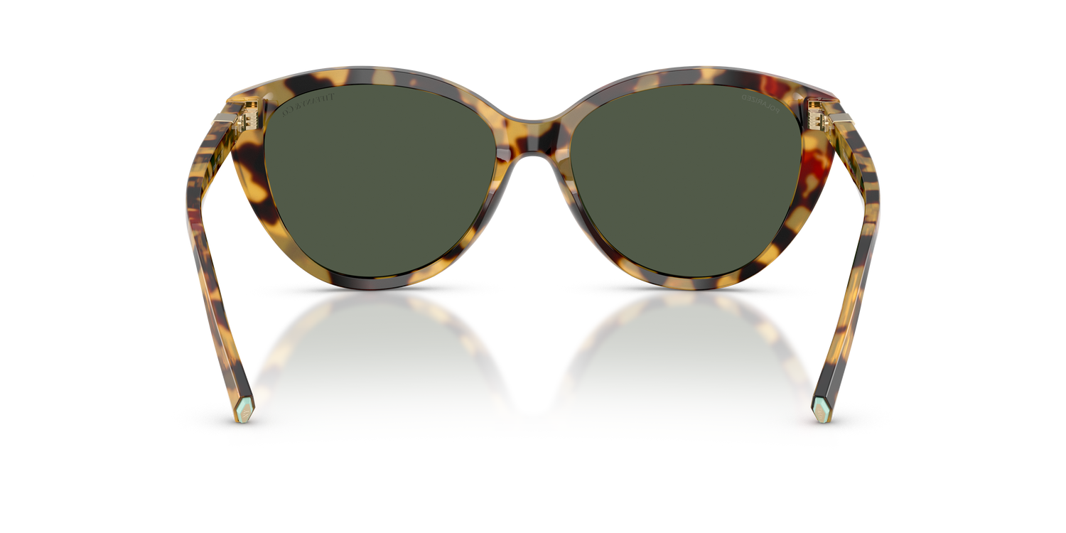 TIFFANY TF4251 80649A 56