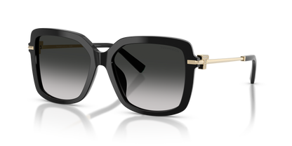 TIFFANY TF4252B 80013C 55