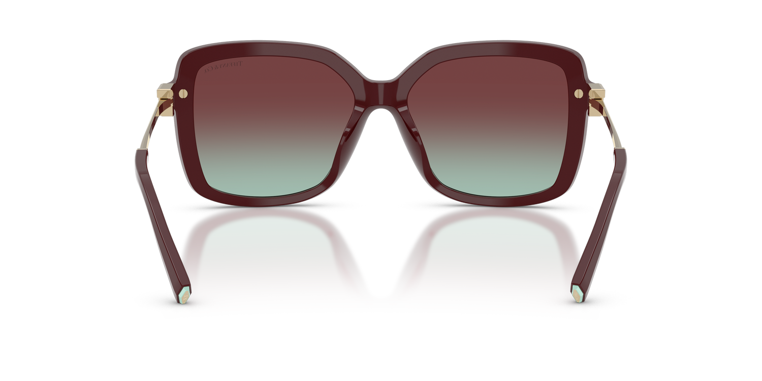 TIFFANY TF4252B 8389V5 55