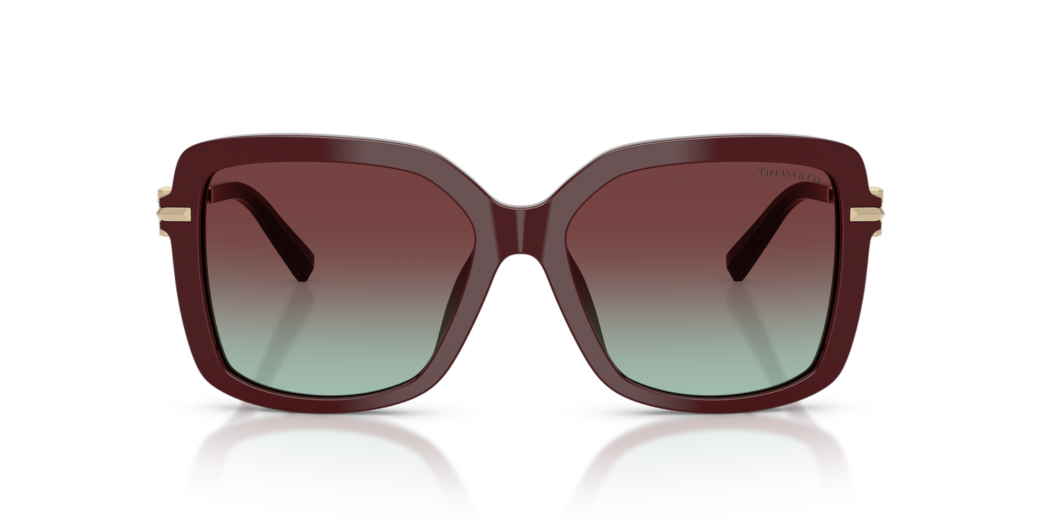 TIFFANY TF4252B 8389V5 55