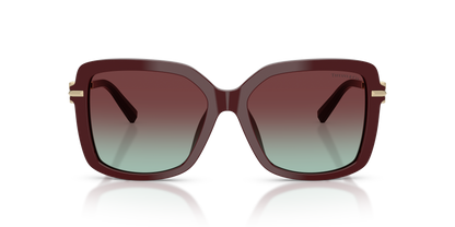 TIFFANY TF4252B 8389V5 55