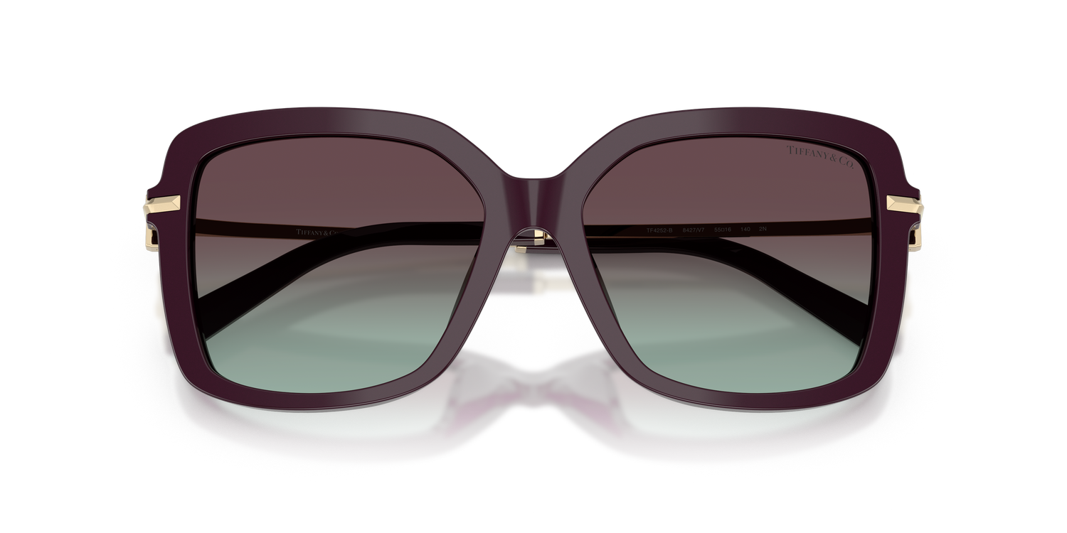 TIFFANY TF4252B 8427V7 55