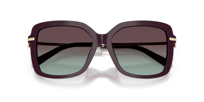 TIFFANY TF4252B 8427V7 55