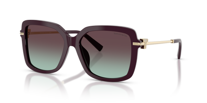 TIFFANY TF4252B 8427V7 55