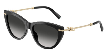 TIFFANY TF4253 80013C 55